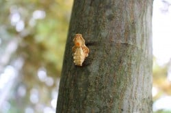 2015_09_06_0022_original