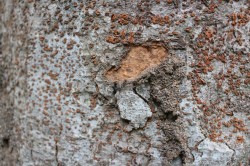 2015_09_06_0034_original