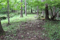 2015_09_06_0051_original