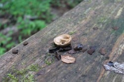 2015_09_19_0060_original