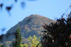 2015_10_18_0155_original