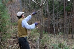 2015_11_21_0007_original