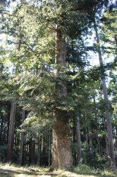 2016_10_15_0024_original