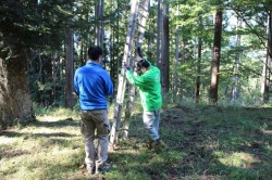 2016_10_15_0027_original