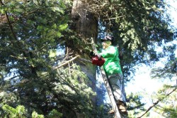 2016_10_15_0033_original