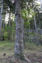 2016_10_15_0060_original