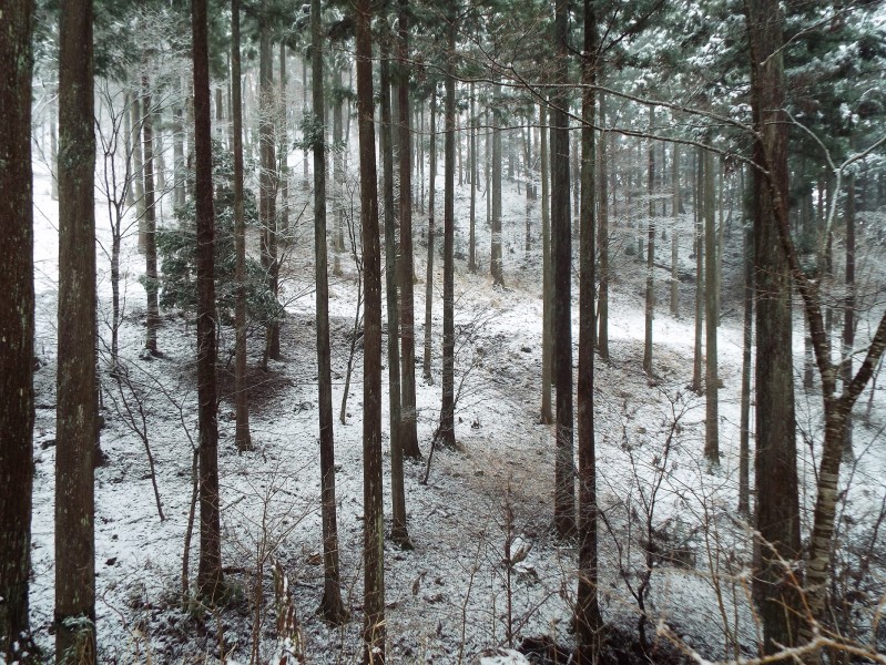 DSCF0155