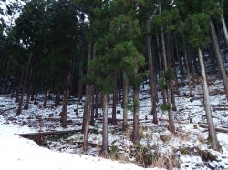 DSCF0672