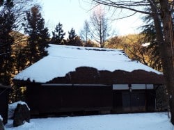 DSCF0682