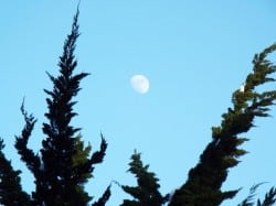 DSCF0684
